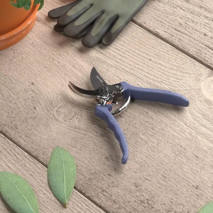 Amazon Basics Professional Hand Pruners, Garden Clippers, Pruning Shears, 8-inch Steel Bypass Garden Scissors, Blue by GreenHaven Gardens