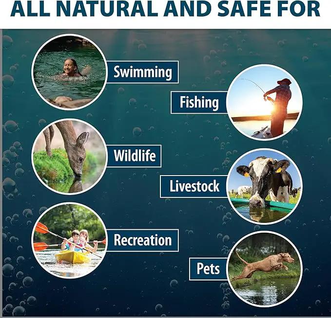 Airmax Twilight Blue Pond Dye 4X Concentrate for Outdoor Ponds & Lakes, Natural Pond Colorant & Beauty Enhancer, Block Ultraviolet Rays, Fish, Bird & Livestock Safe, Easy Liquid Application,1 Quart by GreenHaven Gardens