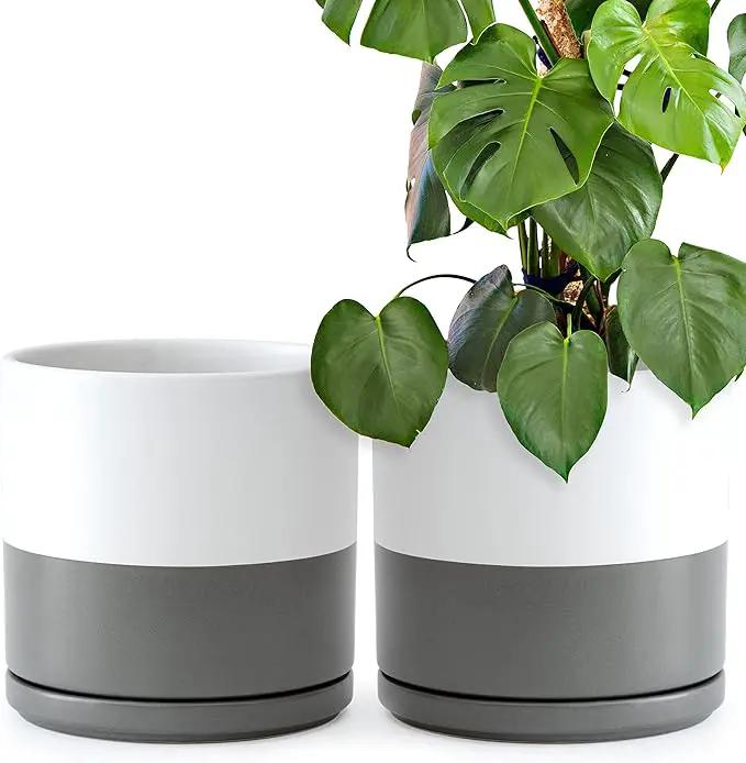 D'vine Dev Set of 2 Plants Pots, 10 Inch Ceramic Planter Pot for Plants with Drainage Hole and Saucer, White/Speckled Grey, 94-V-E-6 by GreenHaven Gardens