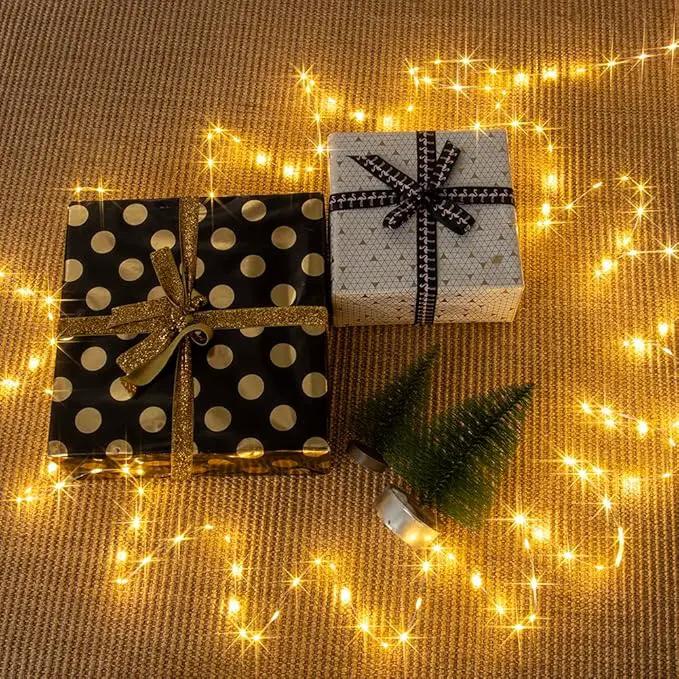 Fairy Lights Plug in,164FT 1000 LEDs Waterproof String Lights,Twinkle Light with Remote for Outdoor Indoor Christmas Wedding Birthday Garden Party Decorations,2 Inch Space,Warm White by GreenHaven Gardens
