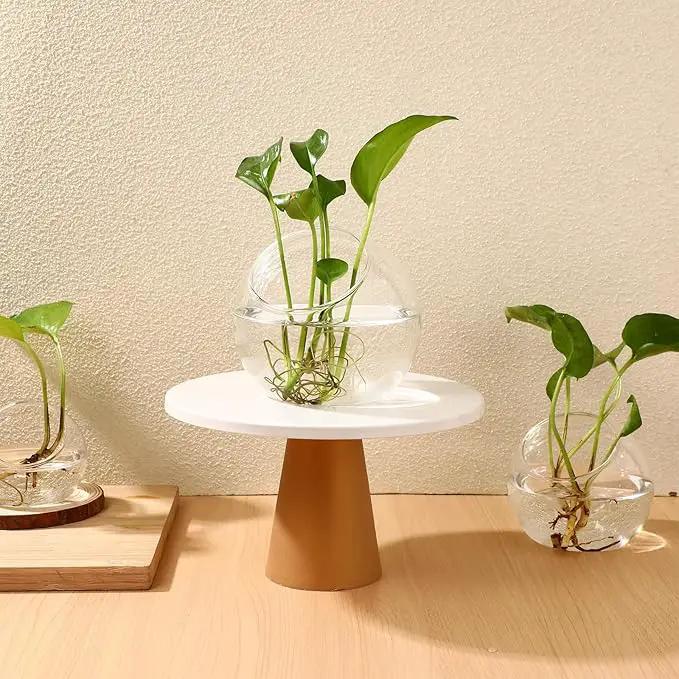 Mipcase 3 Pcs Plant Terrarium Plant Holder Terrarium Air Plant, 3 Round Glass Vase for Succulents, Clear Bubble Planter for Home Decor, Oblique Opening Glass Bowls Succulent Orbs Mini Tank by GreenHaven Gardens
