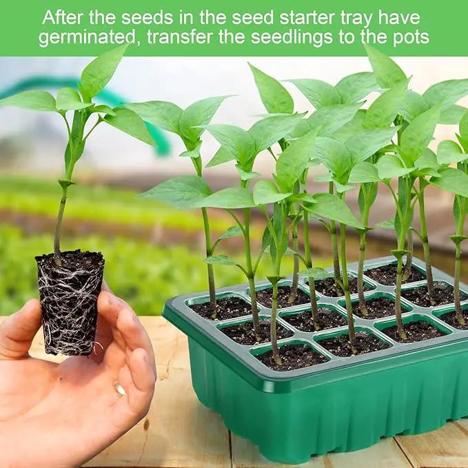 Lunies 6 Packs Seed Starter Tray with Grow Light, Indoor Greenhouse Seeding Starter Trays for Planting, Base Gardening Plant Germination Kit, Seed Starter Kit with Humidity Domes, (12 Cells per Tray) by GreenHaven Gardens