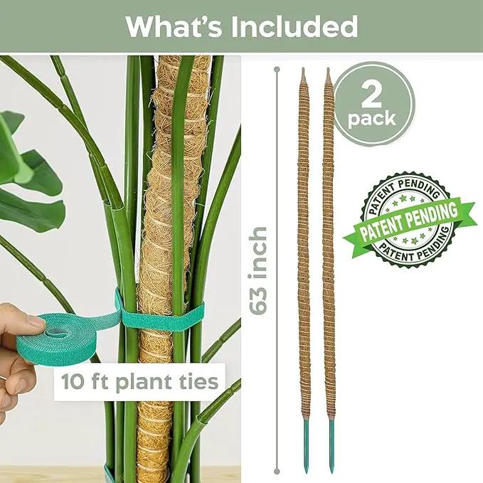 2 Pack 63'' Bendable Moss Pole Monstera Plant Support for Climbing Indoor Plants - Stakes for Potted Climbers - Tall Sticks Indoor Trellis for Houseplants - Accessories for Monstera Pot by GreenHaven Gardens