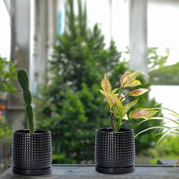 D'vine Dev Set of 2 Ceramic Plants Pots, 4 Inch Beaded Stoneware Flower Pot for Plants with Drainage Hole and Saucer, Glossy Black, 27-E-Z-2 by GreenHaven Gardens