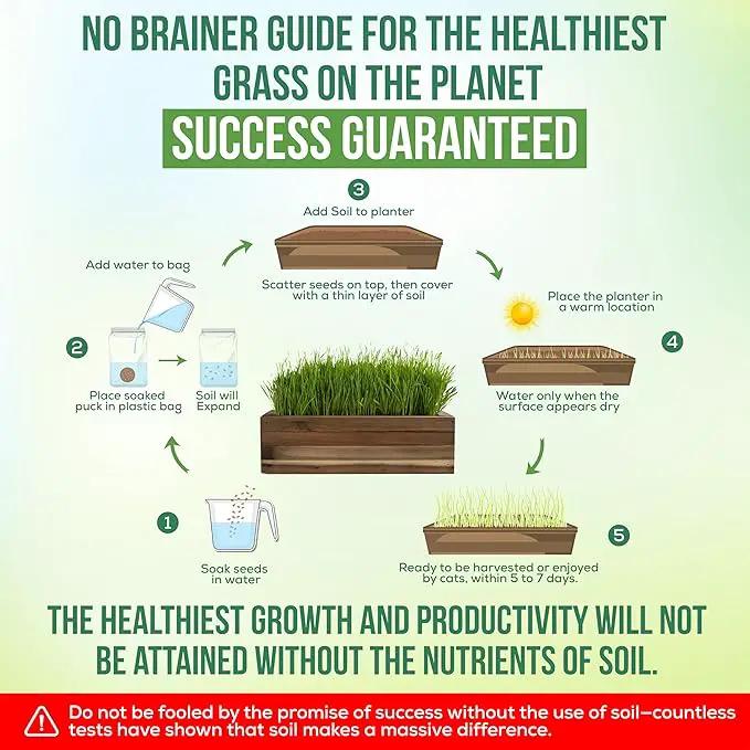Cat Grass for Indoor Cats Kit – Organic & Handcrafted Cedar Planter with Fast-Growing Wheatgrass for Cats, Hairball Remedy with Pet-Friendly Planter (Natural) by GreenHaven Gardens