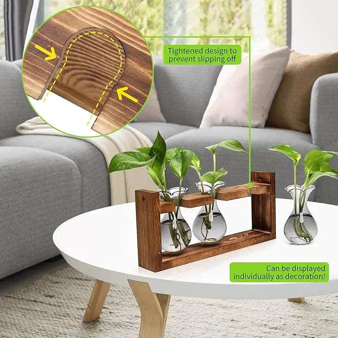 Plant Propagation Station Plant Terrarium Unique Birthday Gifts for Women Plant Lovers Home Office Decor Planter with Wooden Stand - 3 Bulb Glass Vase by GreenHaven Gardens