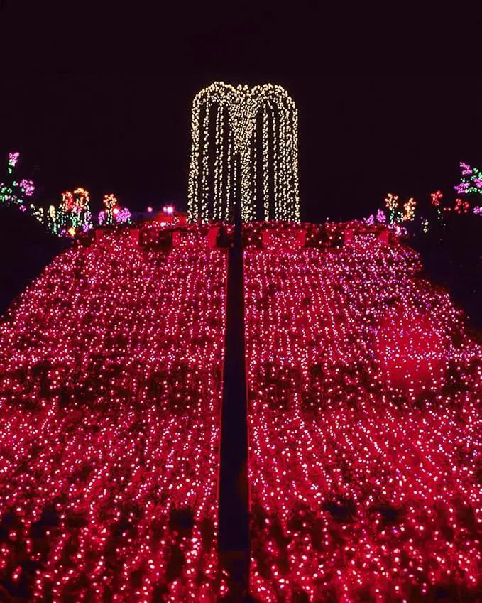 Twinkle Star 4 Pack Outdoor Solar String Lights, Total 160 FT 480 LED Solar Powered Valentines Day Decorative Fairy Lights with 8 Modes, Waterproof Silver Wire Light for Christmas Wedding Party, Red by GreenHaven Gardens