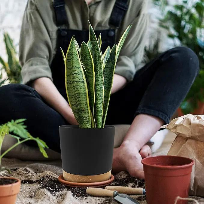 QCQHDU 8 inch Plant Pot, 2 Pack Planters for Indoor Plants with Drainage Holes & Saucer, Outdoor Flower Pots Home Garden Modern Decor by GreenHaven Gardens