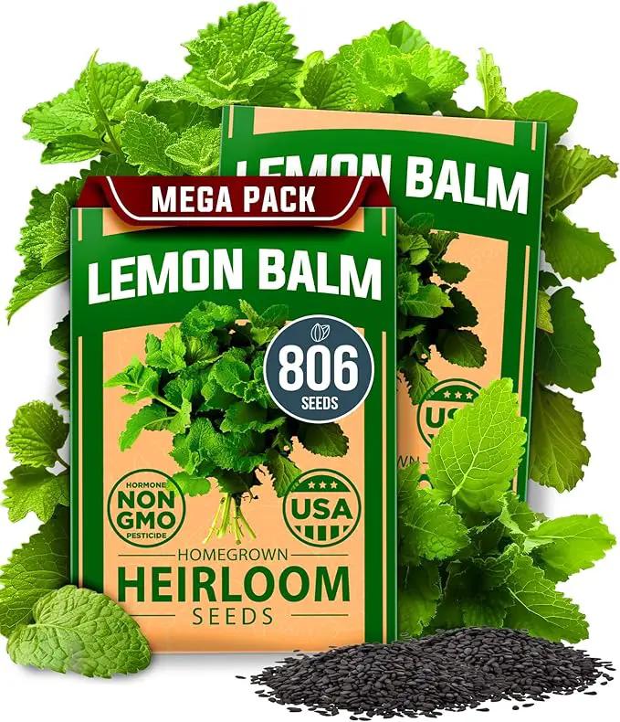 HOME GROWN Lemon Balm Seeds– 806 𝗡𝗢𝗡-𝗚𝗠𝗢 Heirloom Seeds for Planting – Melissa officinalis Herb for Tea, Garden, Indoor or Outdoor Growing–Plant for Pots, Beds & Hydroponics(Melissa officinalis) by GreenHaven Gardens
