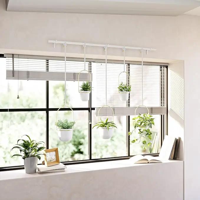 Umbra Triflora Hanging Planter for Window, Indoor Herb Garden, Set of 5, White/Brass by GreenHaven Gardens