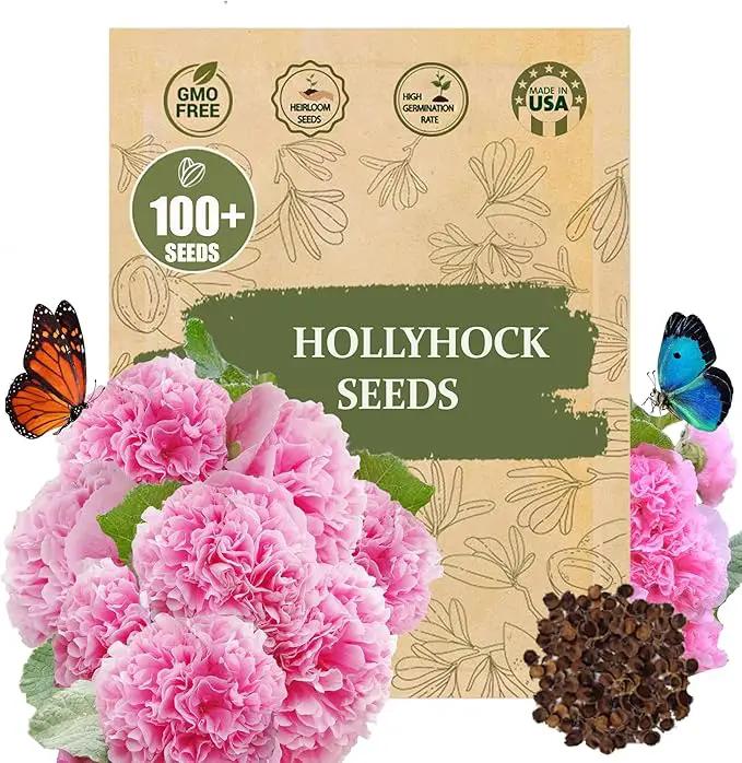 Premium Rare Hollyhock Seeds – 100+ Double Pink Hollyhock Flower Seeds – Non-GMO, Heirloom Perennial – Showy Blooms for Outdoor Planting (Double Pink Hollyhock) by GreenHaven Gardens