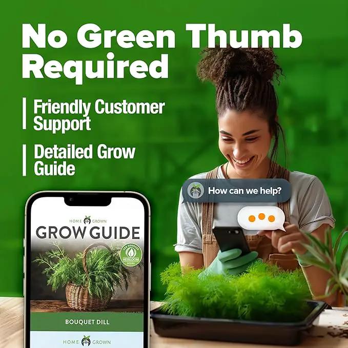 HOME GROWN 𝗨𝗦𝗔 𝗣𝗥𝗘𝗠𝗜𝗨𝗠 Dill Seeds for Planting 1,014 Bouquet Dill Seeds 𝗡𝗢𝗡-𝗚𝗠𝗢 and Heirloom Herb Seeds for Planting Outdoors, Grow Your Fragrant Dill Herb Garden (Anethum graveolens) by GreenHaven Gardens