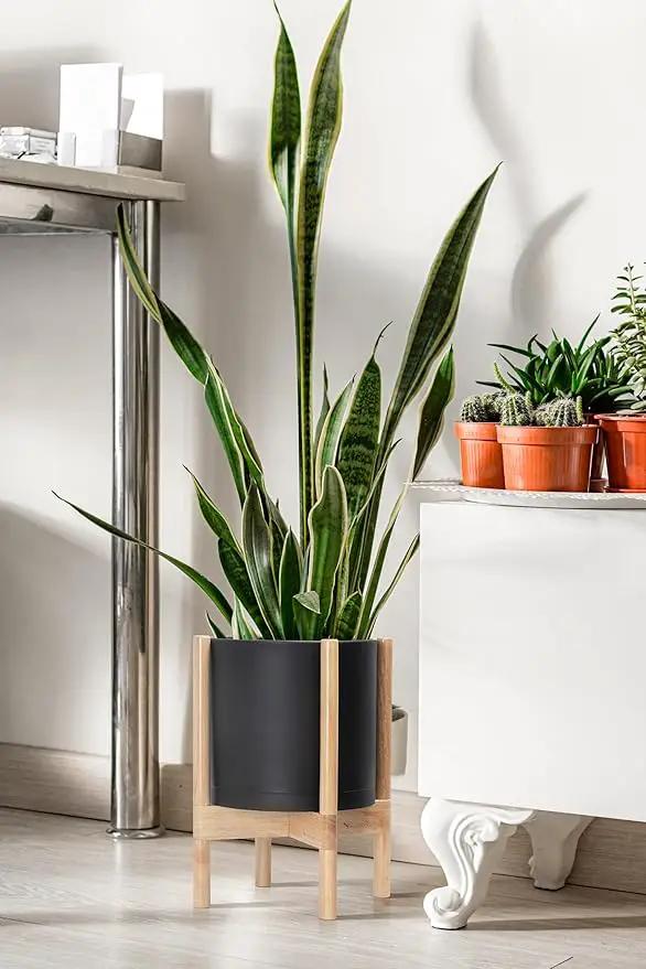 D'vine Dev Planter Pot with Stand - 10 Inch Plastic Cylinder Flower Pot with Wood Planter Holder for Indoor, Matte Black Pot + Natural Stand, 55-C-M-2 by GreenHaven Gardens