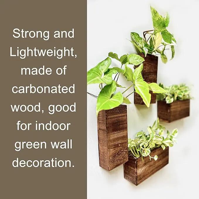 LaLaGreen Wood Planter Box for Plants (4 Pack) Wooden Hanging Wall Planters for Indoor Plant Holder Vase for Dried Flowers, Modern Living Room Bedroom Kitchen Home Office Decor by GreenHaven Gardens