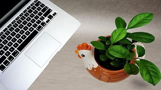 Chicken Planter - Rooster Utensil Holder Party Accessories - Flower Succulent Pot - Indoor Outdoor Garden Backyard Patio Chicken Theme Ceramic by GreenHaven Gardens