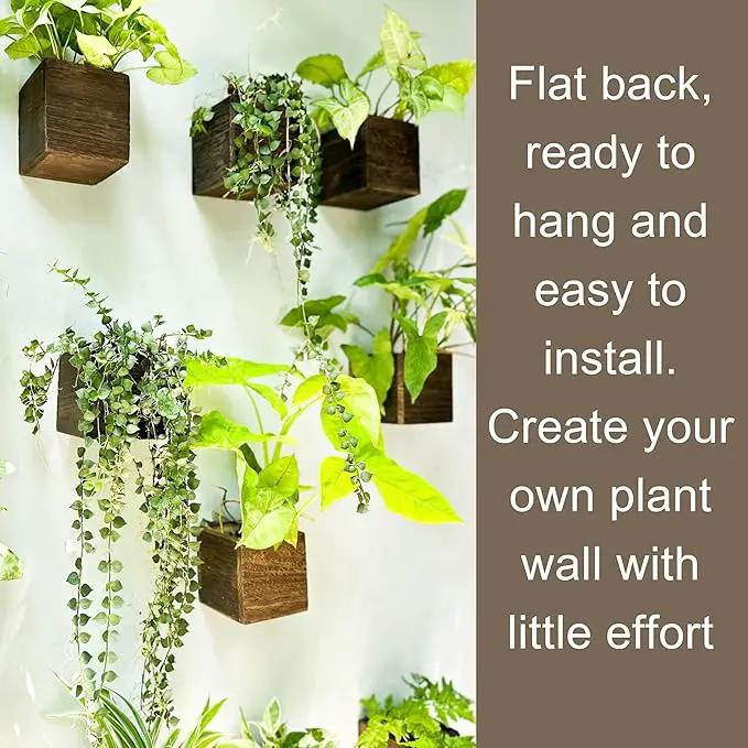LaLaGreen Wood Planter Boxes for Plants (8 Pack, 4x4 Inch) Small Square Wall Mounted Planters for Indoor Plant, Herb Wooden Box Hanging Flower Pot Plant Holder Outdoor Fence Vertical Garden Home Decor by GreenHaven Gardens