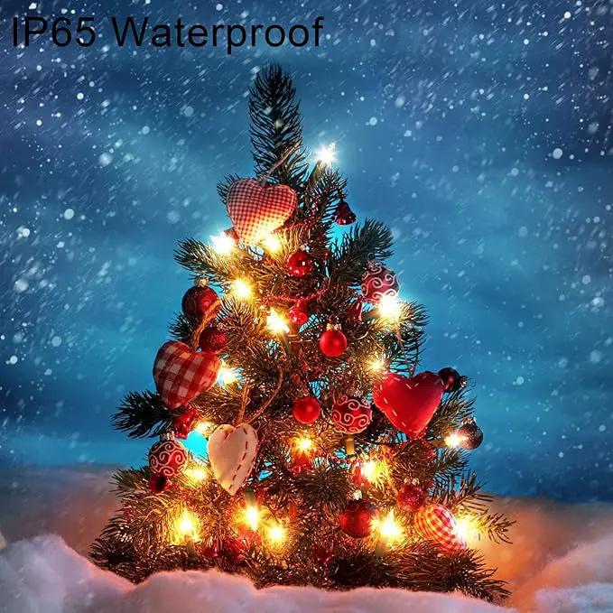 2 Pack 36ft 100 LED Battery Operated String Lights with Remote Timer Waterproof 8 Modes String Lights for Bedroom, Garden, Easter, Party, Christmas Indoor and Outdoor Decorations -Warm White by GreenHaven Gardens