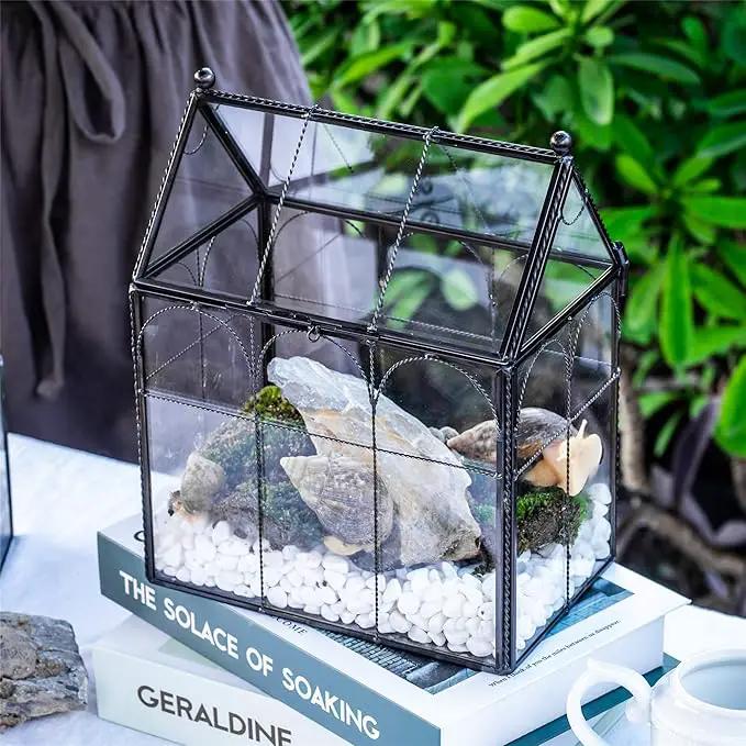 NCYP Black Glass Terrarium with Lid, Indoor Geometric Planter for Cacti, Air Plants, Succulents, Insect, Snail, House Shape Closed Box 7.5" x 4.9" x 9" (No Plant Included) by GreenHaven Gardens