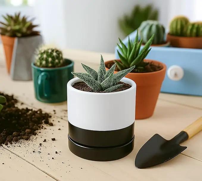 D'vine Dev 4.6 Inch Ceramic Planter Pot with Drainage Hole and Saucer, Indoor Cylinder Round Planter Pot, Layered Monochrome Black & White, 94-O-B-L by GreenHaven Gardens