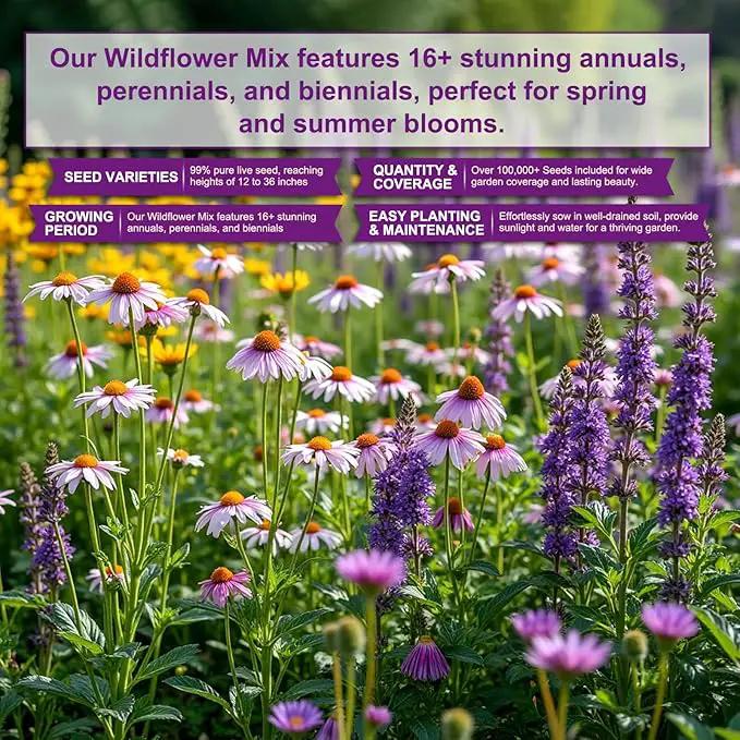 200,000 Wildflower Seeds Mix Bulk - Includes 16 Perennial Wildflower Seeds for Indoor & Outdoor Gardens - Premium Garden and Wildflower Seeds Combo by GreenHaven Gardens