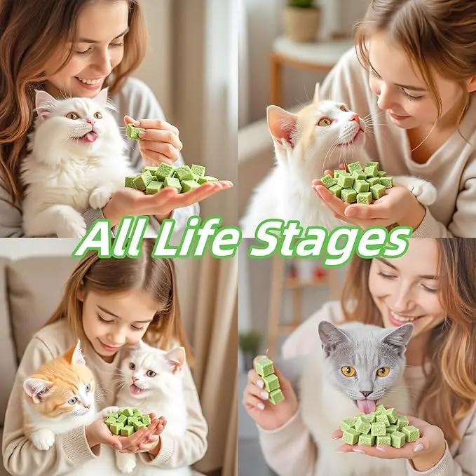 120g/4.23oz Cat Toy Cats Grass Treats, Fish Oil Kitten Grass Catnip Stick for Hairball Removal Teeth Cleaning Cats Edible Freeze Dried Kitty Lickable Chew Dental Snack for Indoor Kitty Food by GreenHaven Gardens