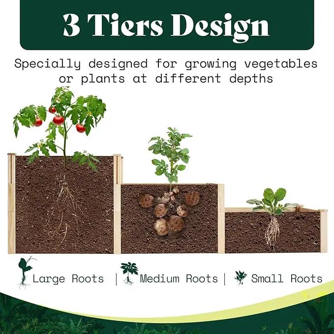 AMERLIFE 3-Tier Raised Garden Bed for Outdoor Gardening, Fir Wood Planter Box with Dividers, Tool-Free Assembly, Garden Box Perfect for Vegetables, Herbs, and Flowers by GreenHaven Gardens