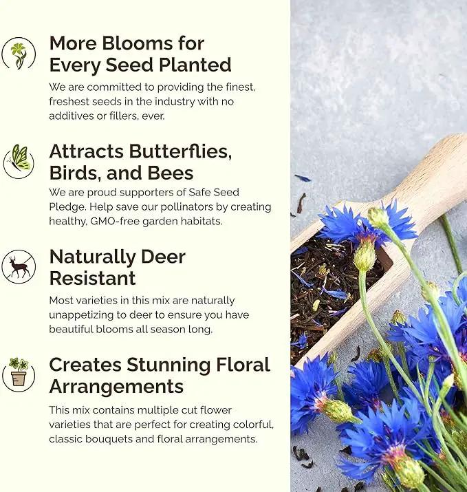Eden Brothers Royal Meadow Flower Mixed Seeds for Planting, 5 lb, 2,400,000+ Seeds with Morning Glory, African Daisy | Attracts Pollinators, Plant in Spring or Fall, Zones 3, 4, 5, 6, 7, 8, 9, 10 by GreenHaven Gardens