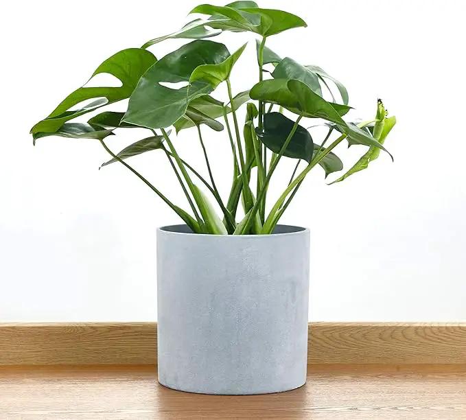 FaithLand Plant Pot 10 inch - Perfectly Fits Mid-Century Modern Plant Stand - Drainage Plug and Drainage Mesh Screen - Gray Planter Pot by GreenHaven Gardens