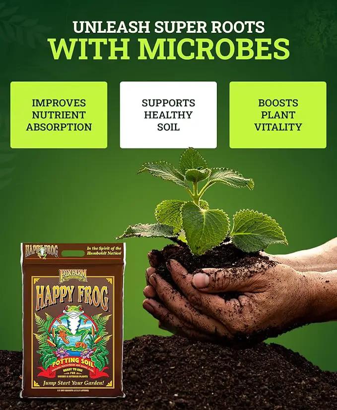 FoxFarm Happy Frog Potting Soil, 12qt – for Indoor/Outdoor Container Plants, Improves Root Efficiency, pH Adjusted for Optimal Nutrient Uptake – Contains Microbes and Humic Acids (Pack of 4) by GreenHaven Gardens