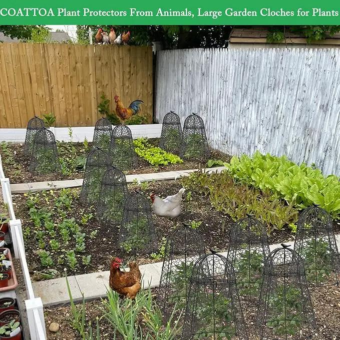 Plant Protector Chicken Wire Cloche 4 PCS, Plant Protectors from Animals, 18.7×12 Inch Large Garden Cloches for Plants, Sturdy 2-in-1 Cloche Dome for Plants, Plant Protectors for Easy Pruning by GreenHaven Gardens