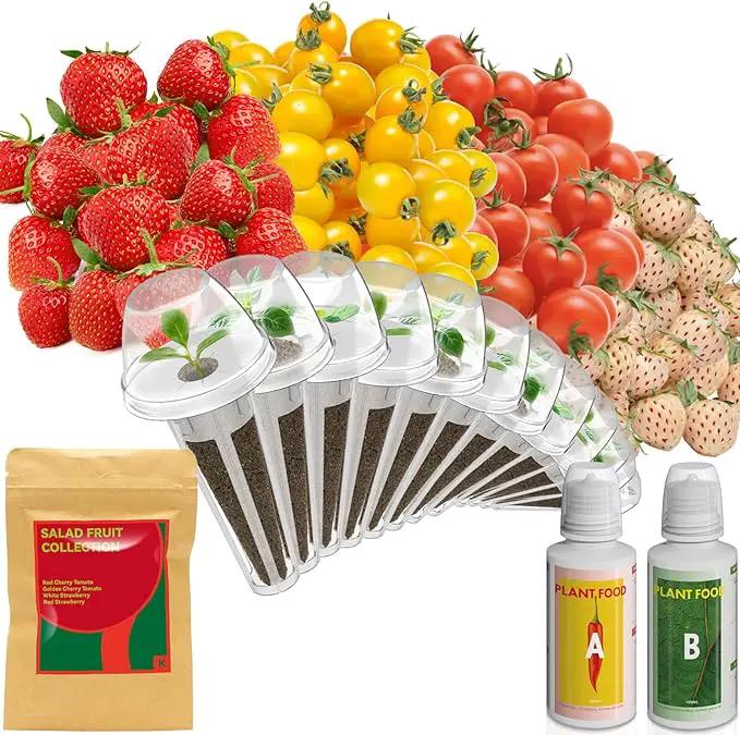 inbloom Strawberry & Tomato Seed Pod Kit for AeroGarden, Ahopegarden, GARDENCUBE, iDoo, MUFGA Hydroponics Growing System, 12-Pods with Heirloom Red/White Strawberry, Red/Golden Cherry Tomato Seeds by GreenHaven Gardens