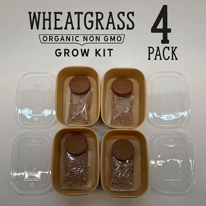 Organic Wheatgrass Premium Grow Kit 4 Pack | Whetagrass Juice | Catgrass | Non GMO Mixed Seeds | Wheatgrass Shot by GreenHaven Gardens