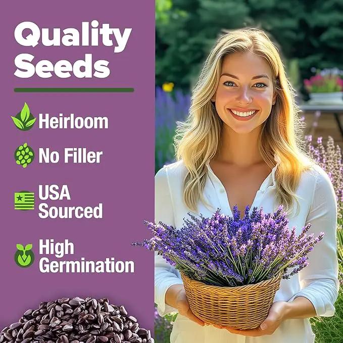 HOME GROWN 𝗨𝗦𝗔 𝗣𝗥𝗘𝗠𝗜𝗨𝗠 English Lavender Seeds 2 Pack 3000 𝗡𝗢𝗡-𝗚𝗠𝗢 Wildflower Seed, for Planting Indoor Outdoor High Germination Flower Seeds (Lavandula antustifolia) by GreenHaven Gardens