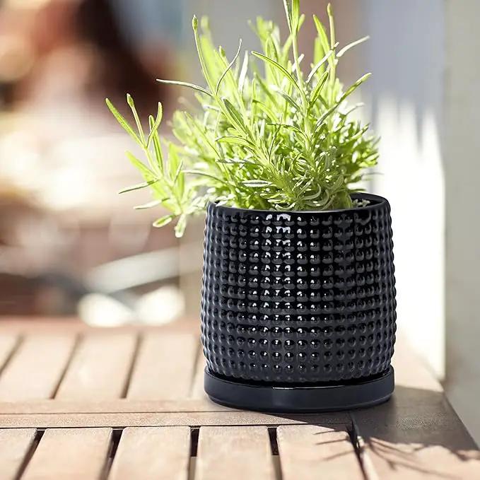 D'vine Dev Set of 2 Ceramic Plants Pots, 4 Inch Beaded Stoneware Flower Pot for Plants with Drainage Hole and Saucer, Glossy Black, 27-E-Z-2 by GreenHaven Gardens
