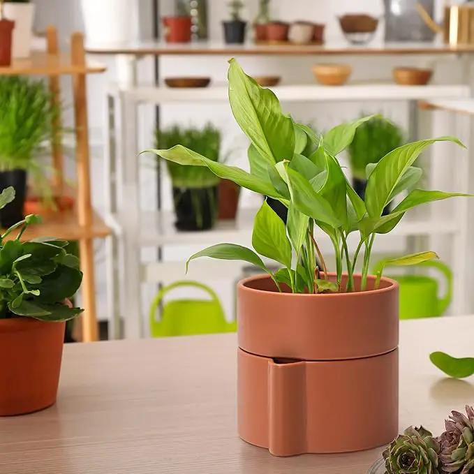Phoenix Vine 6.5 Inch Self-Watering Planter Pot with Terracotta Insert, Deep Water Reservoir, and Ceramic-Alike BPA-Free Plastic Pot for Plant, Modern Planter for Houseplants, Terracotta, 53-A-S-3 by GreenHaven Gardens