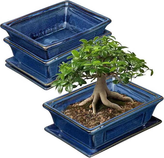 Bonsai Pots Small Shallow Succulent Planters for Live Bonsai Trees Set of 2, 7.5" Ceramic Pot for Succulents Indoor with Drainage Hole and Saucer, Outdoor Cactus Plant Bonsai Pot by GreenHaven Gardens