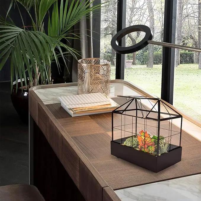 Large Tall Plant Terrarium Glass Greenhouse with Lid and Tray, Indoor Tabletop Orchid Succulent Cacti Kit 9.5'X9.8'X5.6' by GreenHaven Gardens