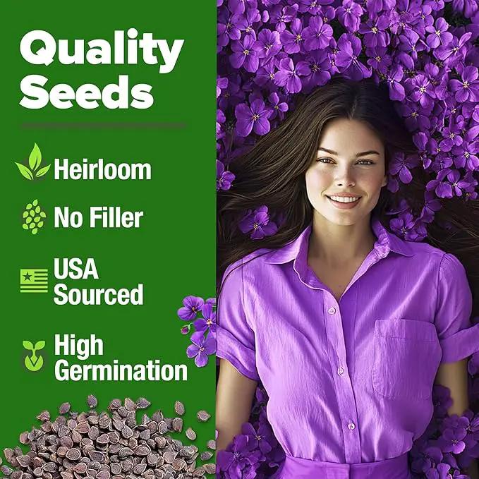 HOME GROWN 𝗨𝗦𝗔 𝗣𝗥𝗘𝗠𝗜𝗨𝗠 Aubrieta Rock Cress Purple, Flowering Ground Cover Seed Pack, Perennial Cress Seeds for Planting Outdoor Lawn Gardens 300 𝗡𝗢𝗡-𝗚𝗠𝗢 Aubrieta deltoidea Flower Seeds by GreenHaven Gardens
