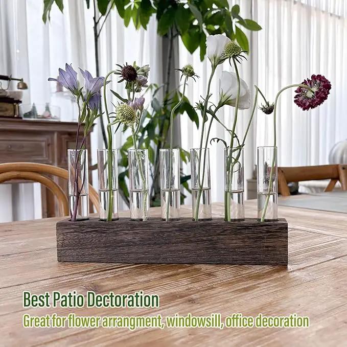 KAXYEW Desktop Glass Plant Propagation Station Test Tube Plant Terrarium in Wooden Stand for Hydroponic Plants Cutting Office Home Decoration by GreenHaven Gardens