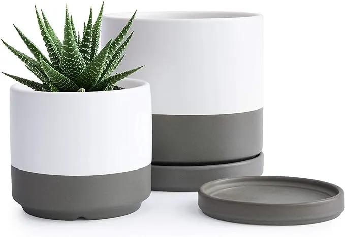 D'vine Dev 4.6 Inch & 6 Inch Ceramic Planter Pots for Plants with Drainage Hole and Saucer, Small Plant Pots Set, White/Speckled Grey, 94-G-S-6 by GreenHaven Gardens