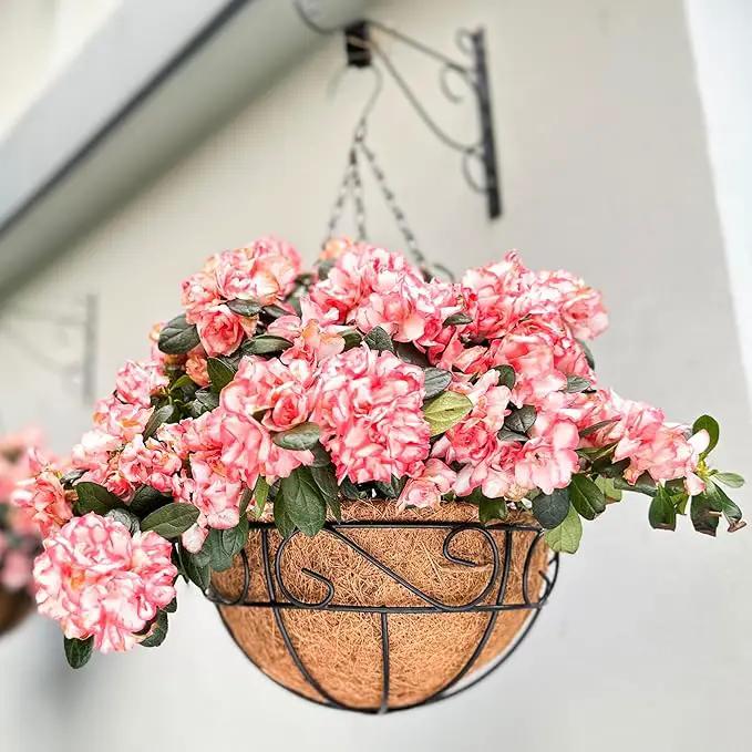 LaLaGreen Hanging Planter for Outdoor Plants (4 Pack, 16 Inch) Hanging Baskets with Coco Liner, Metal Wire Flower Basket Pots with Hook Hanger Balcony Porch Farmhouse Country Style Garden Decor by GreenHaven Gardens