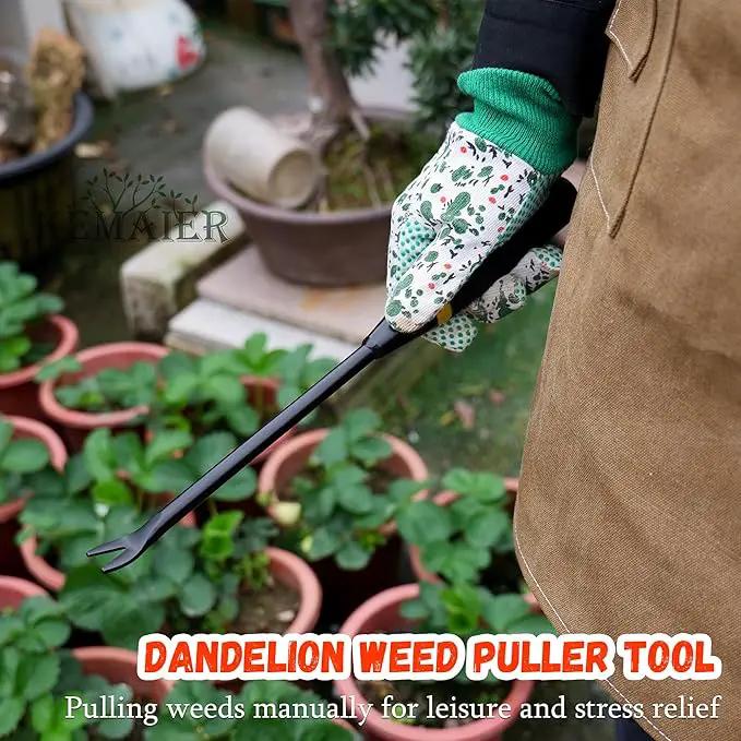 3 - in - 1 Garden Tool Set, Heavy - Duty Stainless - Steel Large Trowel, Transplant Serrated Shovel, and Dandelion Weeder, Suitable for Garden Weeding, Soil Loosening, and Bulb Planting by GreenHaven Gardens