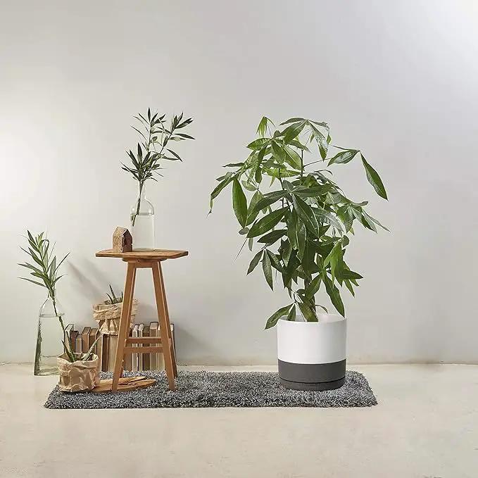 D'vine Dev Set of 2 Plants Pots, 10 Inch Ceramic Planter Pot for Plants with Drainage Hole and Saucer, White/Speckled Grey, 94-V-E-6 by GreenHaven Gardens