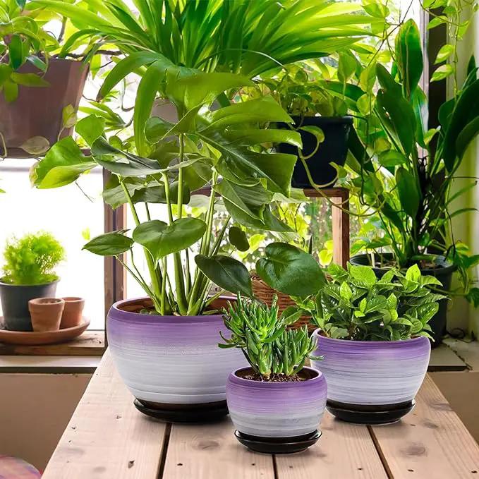 SOUJOY Set of 3 Ceramic Flower Pots, Gardening Plant Pot with Drainage Holes and Saucer, 7/5/4 inch Purple Round Succulent Herbs Cactus Planter for Indoor Outdoor by GreenHaven Gardens
