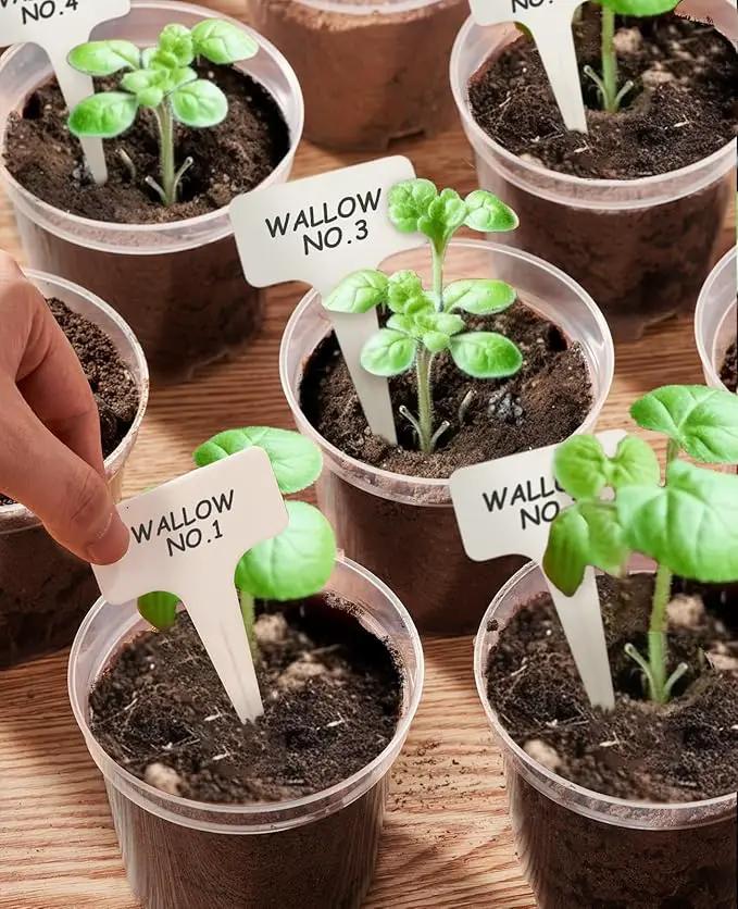 homenote Clear Nursery Pots for Plants,4 Inch Plant Pot for Planting Plastic Seedling with Drainage Holes Seed Starter Flower High Transparency with 20 Labels (30 Pack) by GreenHaven Gardens