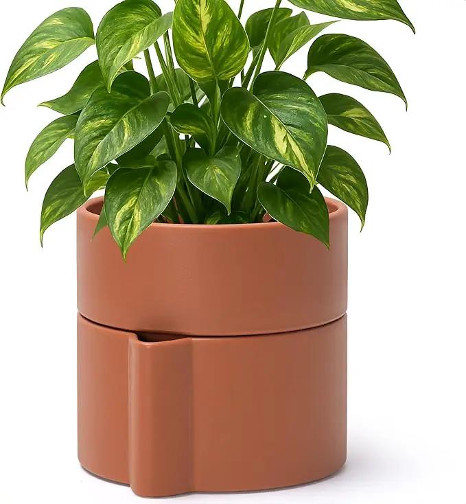 Phoenix Vine 6.5 Inch Self-Watering Planter Pot with Terracotta Insert, Deep Water Reservoir, and Ceramic-Alike BPA-Free Plastic Pot for Plant, Modern Planter for Houseplants, Terracotta, 53-A-S-3 by GreenHaven Gardens