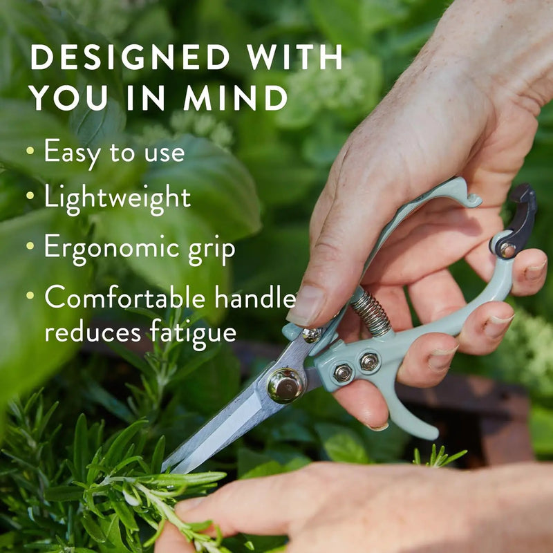 Modern Sprout Pruning Shears - Herb Snipping Scissors- Lightweight Gardening Tools W/Easy Lock - Flower Cutter Garden Shears - Carbon Steel Blade + Reusable Holster (Sage, 1-Pack) by GreenHaven Gardens