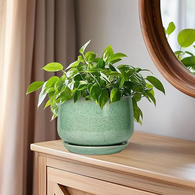 G EPGardening Ceramic Pots for Plants - 6 Inch Plant Pot with Drainage Hole and Saucer, Modern Ceramic Planter for Indoor Outdoor, Round Flower Planter, Gifts for Plants Lovers, Home Decor, Green by GreenHaven Gardens