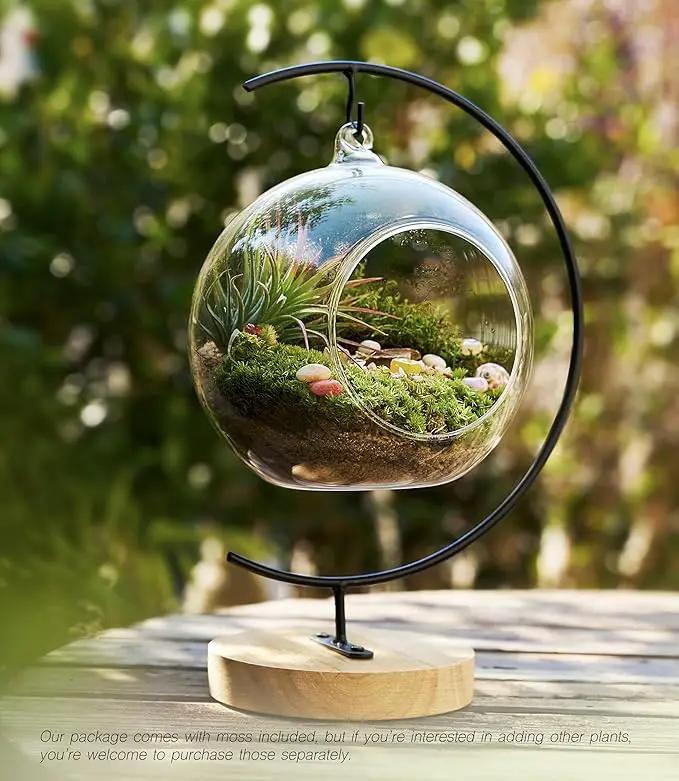 15-Piece Terrarium Kit with Live Moss – DIY Glass Globe Set with Tools, Soil, Stones & Spray Bottle – Indoor Mini Garden Gift for Plant Lovers, Home Decor & Zen Craft by GreenHaven Gardens