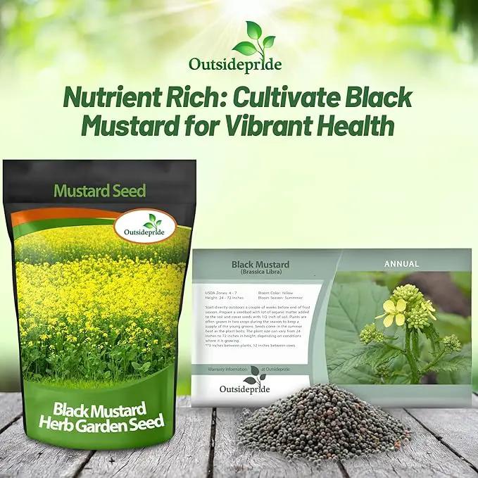 Outsidepride Black Mustard Seeds - 10000 Pcs Nutrient-Rich, Flavorful Annual Microgreen Seeds for Planting, Easy-to-Grow, Ideal for Indoor & Outdoor Cultivation, Soil & Hydroponic Systems by GreenHaven Gardens